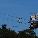 IMG_1681