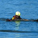 IMG_1718